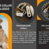 Best Bark Collar For Small Dogs- (Non-Painful With The Best Result). 